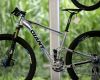 Giant dev�tadvac�tky 2011 obrazem
