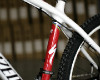 SJ Carbon detailn�