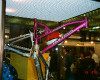 novinky 1994-1995