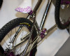 Gravity bike GT 2011