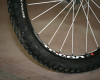 XC celop�ra 2011