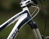 29" novinky Specialized 2011
