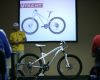 Specialized 2011 ostatn� obrazem