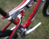 SXC 2011