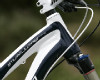 29" novinky Specialized 2011