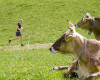 Outdoor Trophy 2010