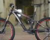 Trek 2011 FR/DH FS obrazem