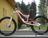 FR a DH novinky Specialized 2011