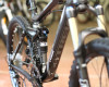 XC celop�ra 2011