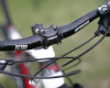 SXC 2011