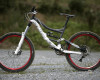 FR a DH novinky Specialized 2011
