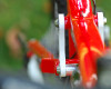 red Spurr od Demy