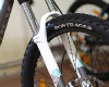 XC celop�ra 2011