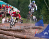 Sv�tov� poh�r 4X Windham