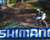 Sv�tov� poh�r 4X Windham