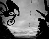 Mistrovstv� sv�ta DH 2010 - Mont Sainte Anne /CAN/