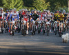 Specialized Rallye Sudety 2010