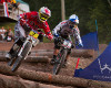 Sv�tov� poh�r 4X Windham