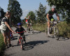 Specialized Rallye Sudety 2010