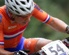 Michiel van der Heijden