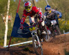 Sv�tov� poh�r 4X Windham