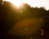 Sv�tov� poh�r 4X Windham
