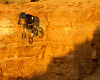 Tyler McCaul