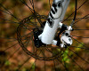 test�k objektivem
