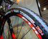 Rubena Scylla 29 palc�