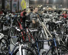 For Bikes 2011