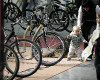 For Bikes 2011