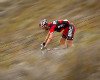 Cape Epic 2011