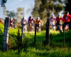 Cape Epic 2011