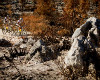 Cape Epic 2011