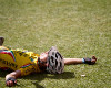 Cape Epic 2011