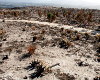 Cape Epic 2011