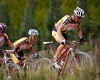 Sauser a Stander na �ele