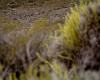 Cape Epic 2011