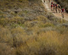 Cape Epic 2011