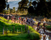 Cape Epic 2011