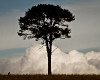 Cape Epic 2011