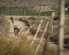 Cape Epic 2011