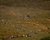 Cape Epic 2011
