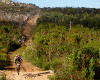 Cape Epic 2011