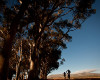 Cape Epic 2011