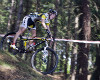 A� 2011 - Daniela Storch