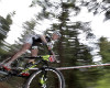A� 2011 - Pavl�na �ulcov�