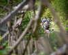 �esk� poh�r MTB XC #2 A� 2011