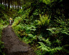 Sv�tov� poh�r XC #2 Dalby Forest