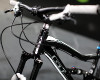 Sensor 29"